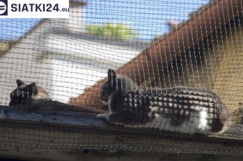 Siatki Zambrów - Siatka na balkony dla kota i zabezpieczenie dzieci dla terenów Zambrowa